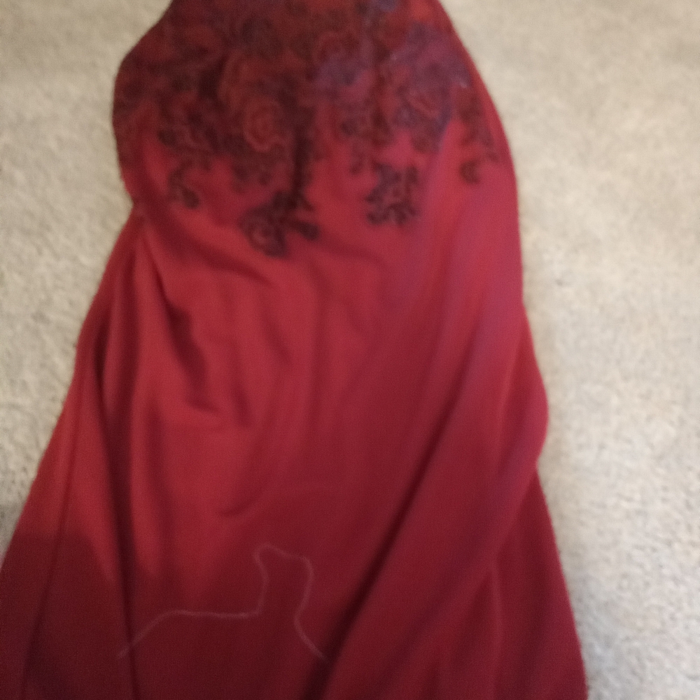 Elegant Red Lace Evening Dress